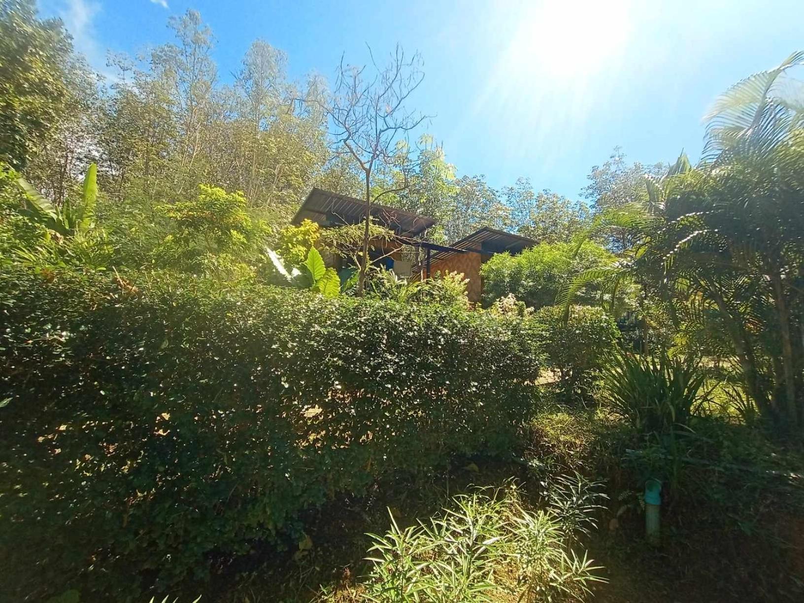 Koh Mook Bamboo Bungalows Exterior photo